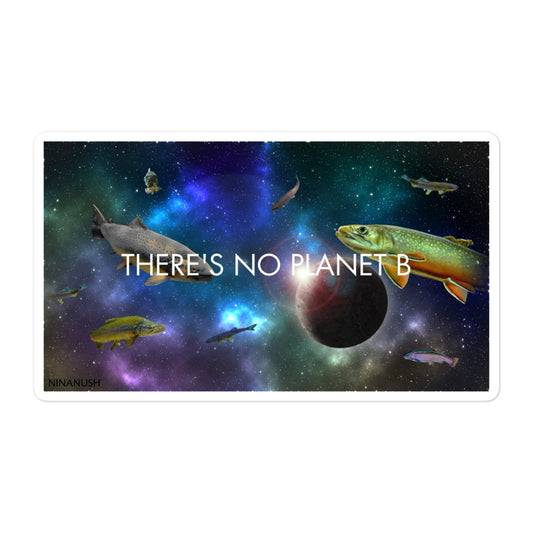 5.5 x 5.5 There is no planet b sticker from Nina's Funky Shop by ninanush - The Trouter Space "There's no planet B" Vinyl Sticker! Make a statement with this funky sticker of trout swimming in colorful outer space. It's an original hand drawn design by Nina and it's made just for you. This no planet B sticker is perfect for your sticker collection or gift for an environmental activist.
