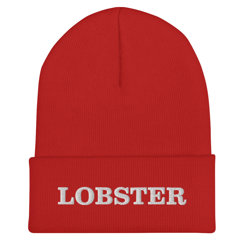 Red Lobster Beanie from Nina's Funky Shop by ninanush - Stand out in our Lobster Cuffed Beanie. It's warm, cozy and the perfect cold weather hat for lobster lovers. This beanie comes in a variety of colors, expertly embroidered with "Lobster" across the front. Celebrate your favorite foods in our funky foodie apparel, designed by Nina and made just for you!