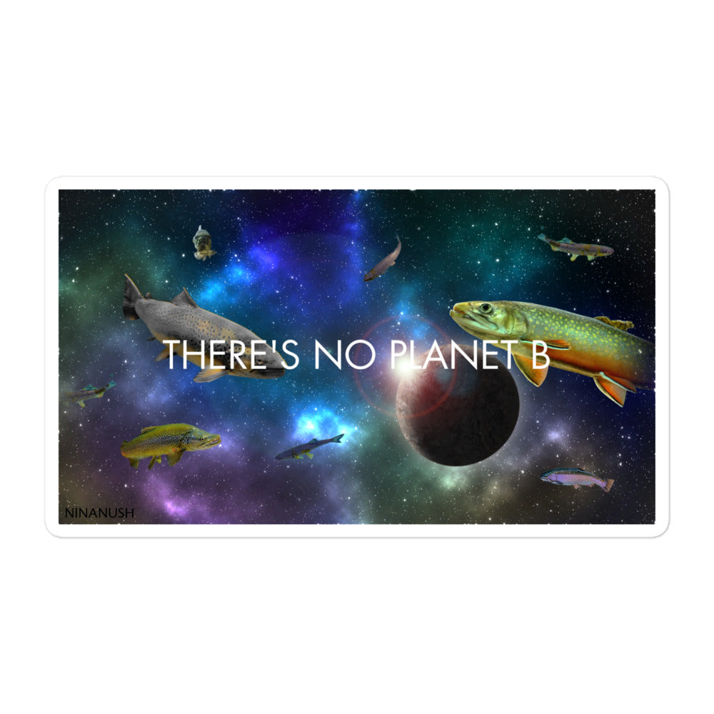 5.5 x 5.5 There is no planet b sticker from Nina's Funky Shop by ninanush - The Trouter Space "There's no planet B" Vinyl Sticker! Make a statement with this funky sticker of trout swimming in colorful outer space. It's an original hand drawn design by Nina and it's made just for you. This no planet B sticker is perfect for your sticker collection or gift for an environmental activist. 