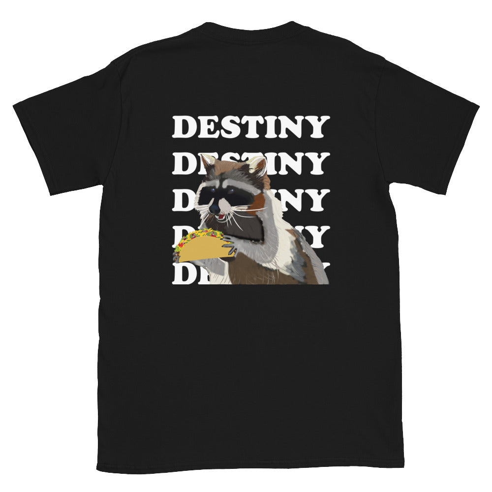 Raccoon Taco Destiny T-Shirt