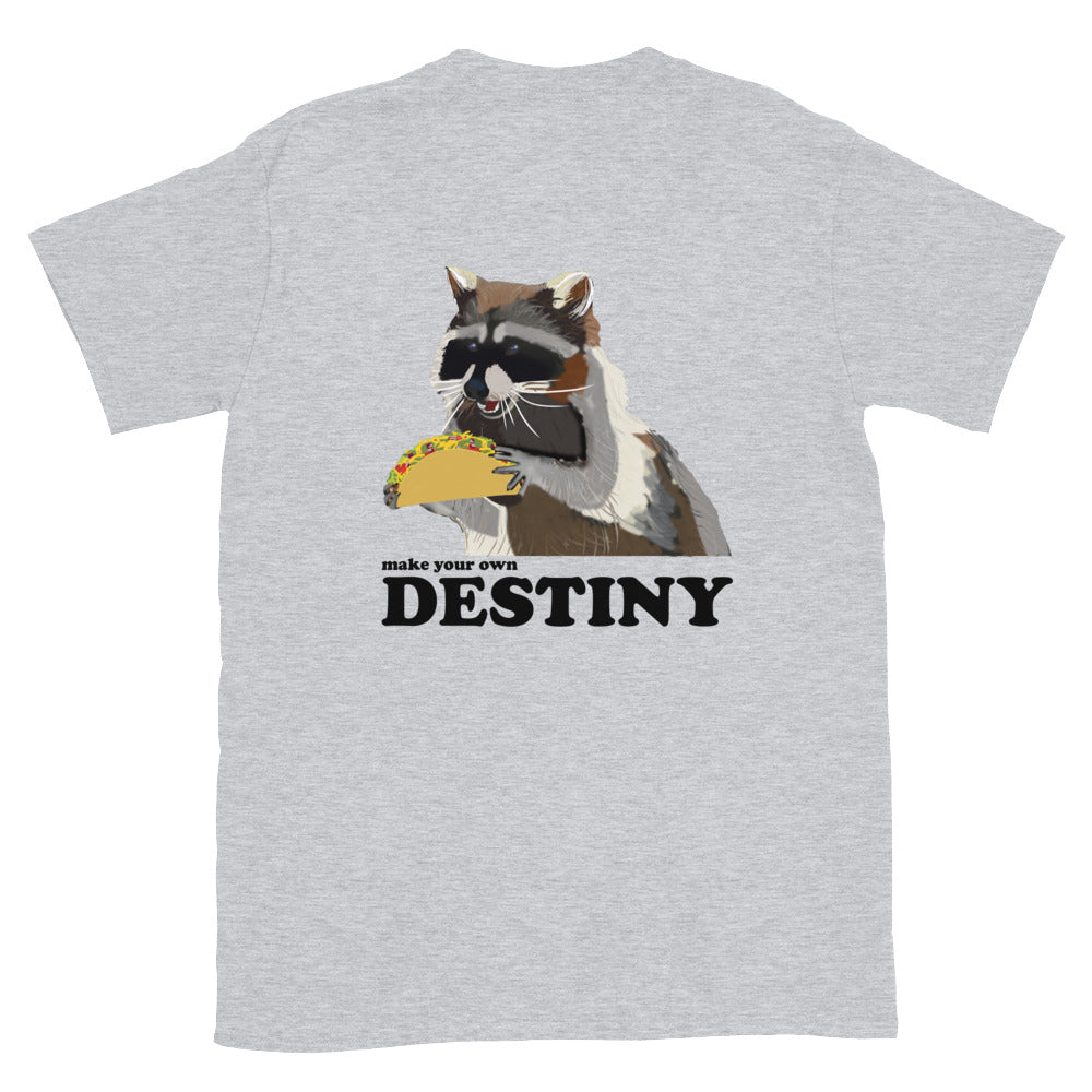 Raccoon and Taco Inspirational Quote T-Shirt