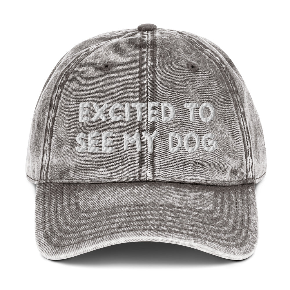 Gray dog lover dad hat - A funny dog lover dad hat with the words "EXCITED TO SEE MY DOG" embroidered on the front and an adjustable snap closure. It's a cotton dad hat, designed for dog enthusiasts and animal lovers of all kinds. Show everyone know how much you love your dog in this dog lover hat or give it as a funny gift for dog parents.