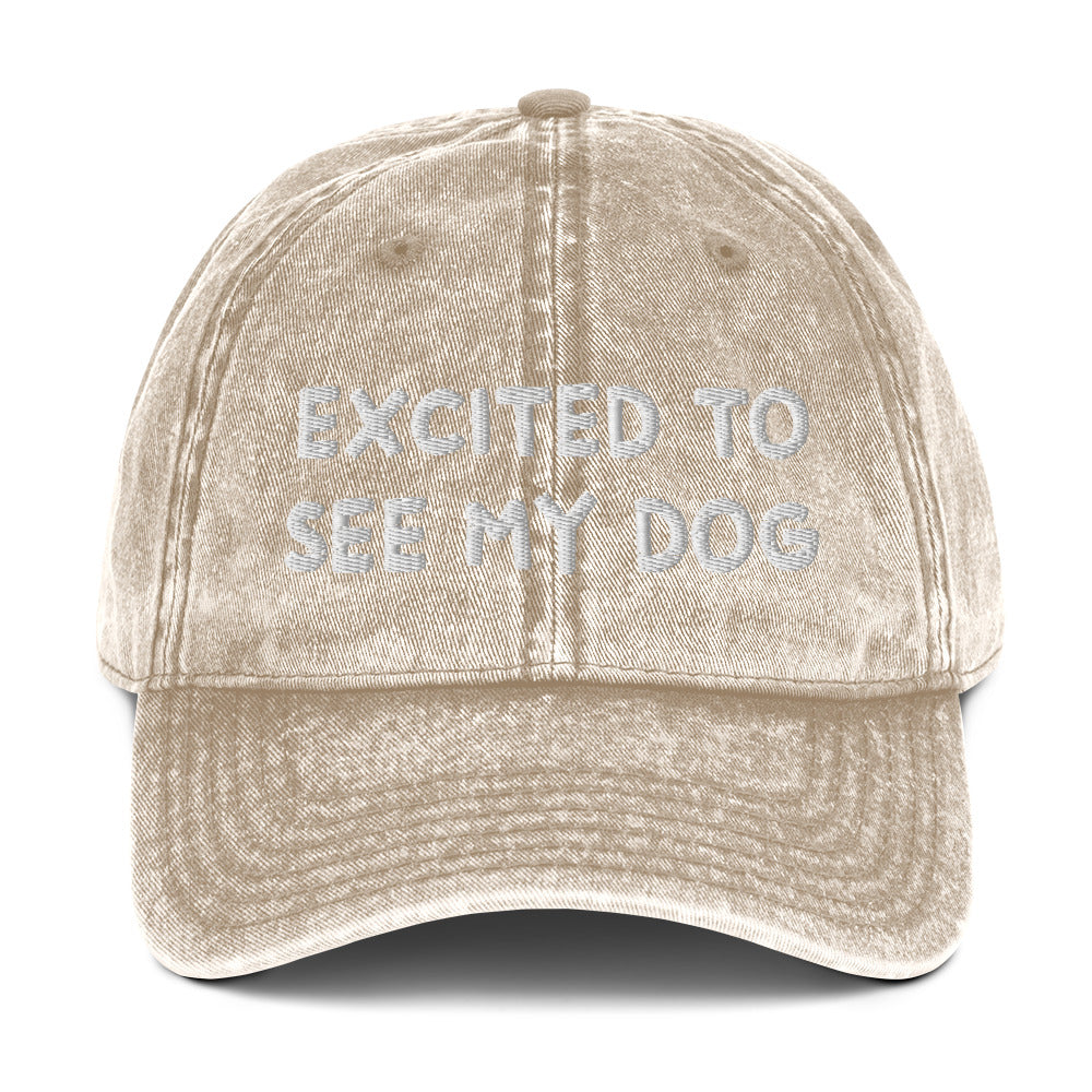 Beige dog lover dad hat - A funny dog lover dad hat with the words "EXCITED TO SEE MY DOG" embroidered on the front and an adjustable snap closure. It's a cotton dad hat, designed for dog enthusiasts and animal lovers of all kinds. Show everyone know how much you love your dog in this dog lover hat or give it as a funny gift for dog parents.