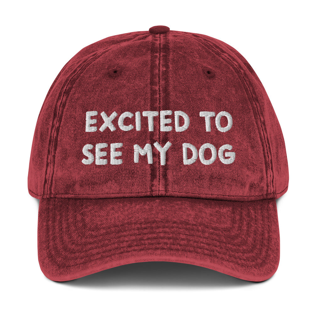 Maroon dog lover dad hat - A funny dog lover dad hat with the words "EXCITED TO SEE MY DOG" embroidered on the front and an adjustable snap closure. It's a cotton dad hat, designed for dog enthusiasts and animal lovers of all kinds. Show everyone know how much you love your dog in this dog lover hat or give it as a funny gift for dog parents.