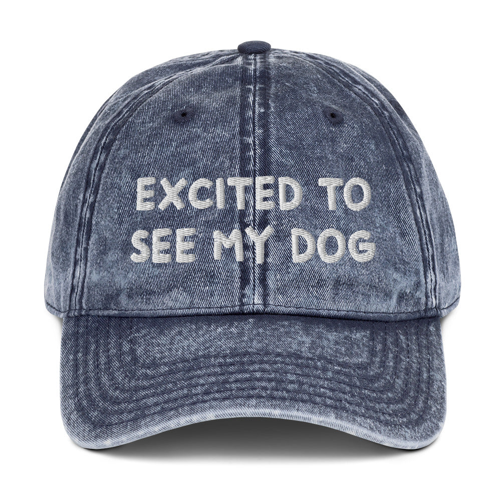 Blue dog lover dad hat - A funny dog lover dad hat with the words "EXCITED TO SEE MY DOG" embroidered on the front and an adjustable snap closure. It's a cotton dad hat, designed for dog enthusiasts and animal lovers of all kinds. Show everyone know how much you love your dog in this dog lover hat or give it as a funny gift for dog parents.