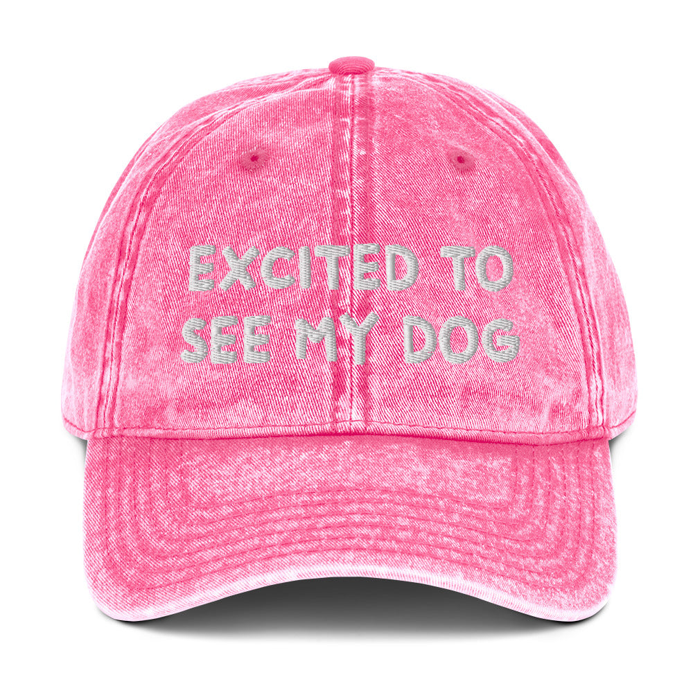 Pink dog lover dad hat - A funny dog lover dad hat with the words "EXCITED TO SEE MY DOG" embroidered on the front and an adjustable snap closure. It's a cotton dad hat, designed for dog enthusiasts and animal lovers of all kinds. Show everyone know how much you love your dog in this dog lover hat or give it as a funny gift for dog parents.