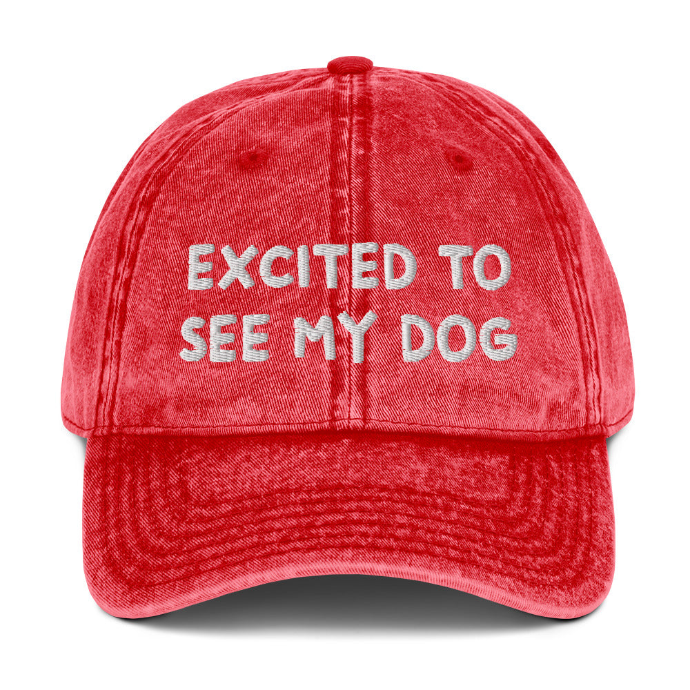 Red dog lover dad hat - A funny dog lover dad hat with the words "EXCITED TO SEE MY DOG" embroidered on the front and an adjustable snap closure. It's a cotton dad hat, designed for dog enthusiasts and animal lovers of all kinds. Show everyone know how much you love your dog in this dog lover hat or give it as a funny gift for dog parents.